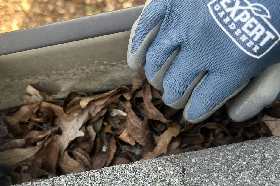 Gutter Cleaning Forest