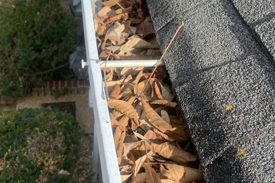 Gutter Cleaning Forest