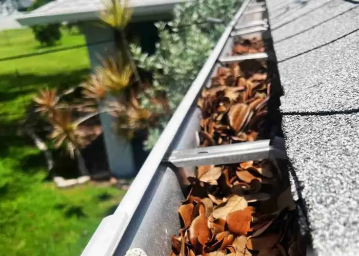 Gutter Cleaning Forest home page